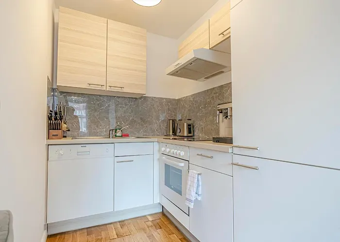 Stylish 1br & 1living In Vienna